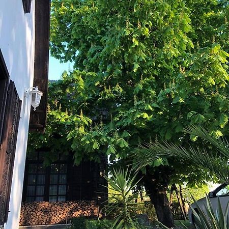 Echo Apartman Tihany Ngoại thất bức ảnh